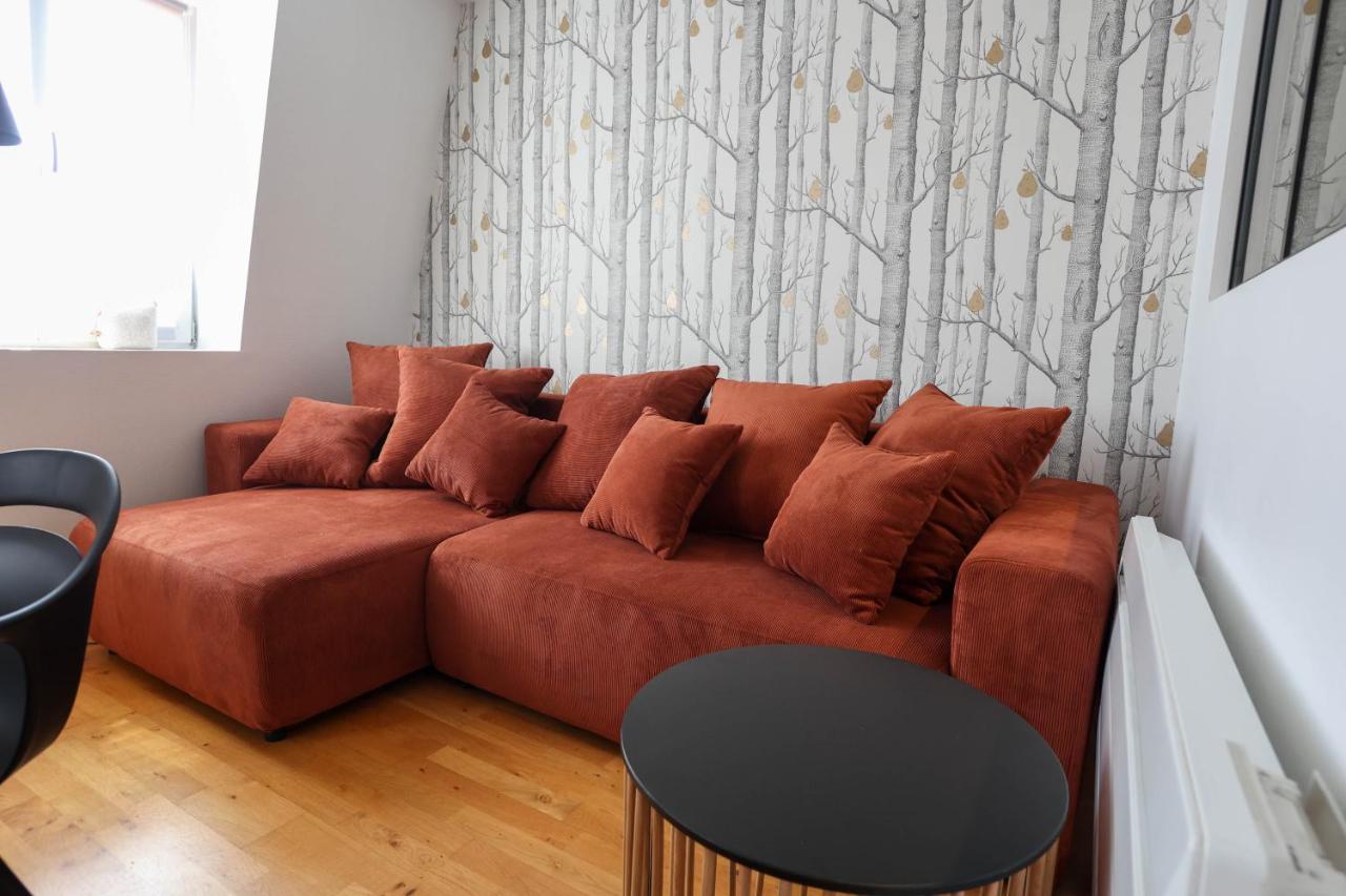Appartement Le Verdoyant Hyper Centre Avec Sauna Et Parking Colmar Exterior photo