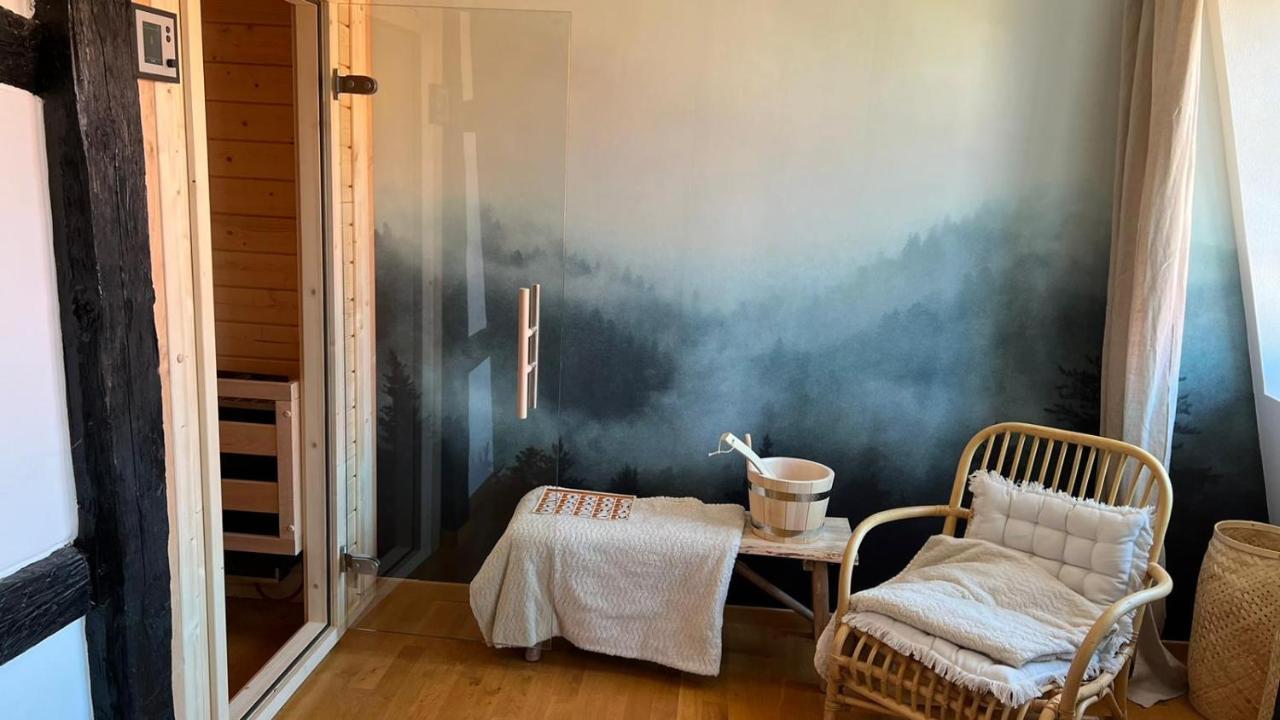 Appartement Le Verdoyant Hyper Centre Avec Sauna Et Parking Colmar Exterior photo